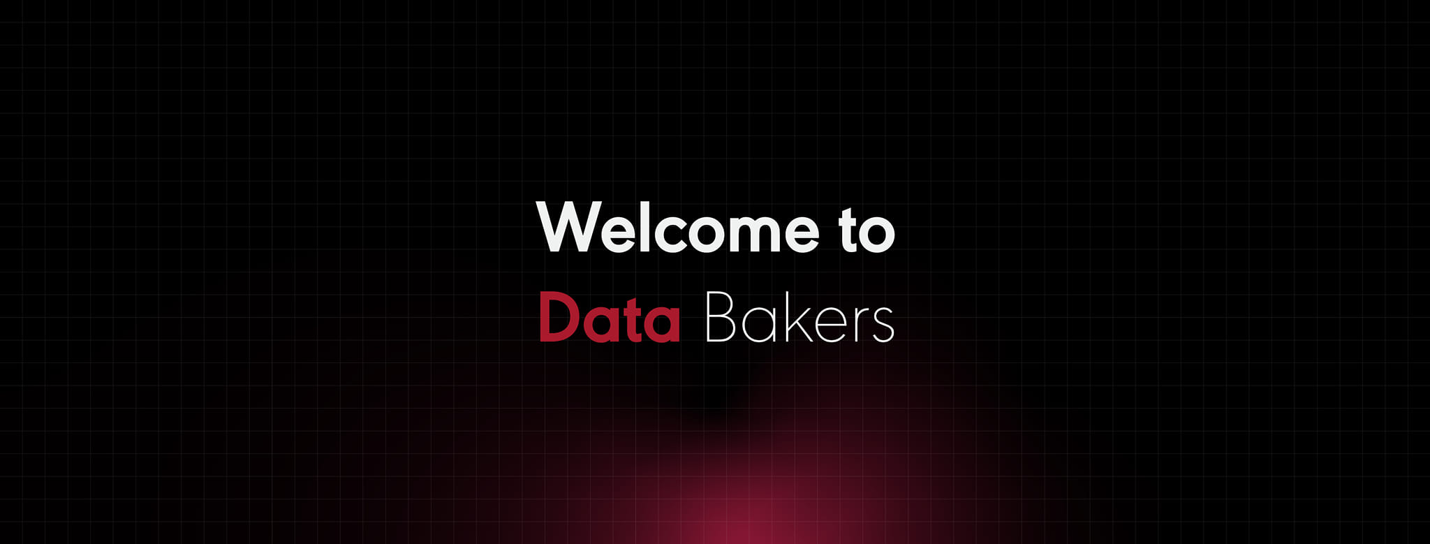 Data Bakers