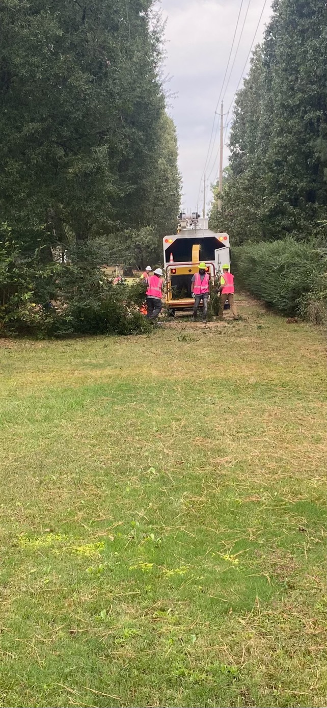 Riggs Tree Service