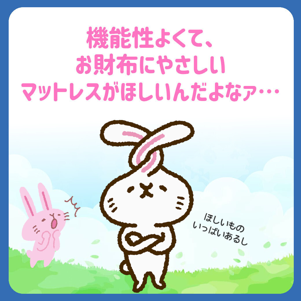 ✨こだわりのマットレスが新発売✨ つゆきベストセラー敷ふとんの 