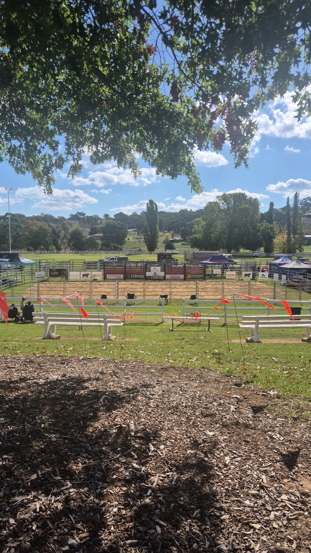 Rylstone Rodeo Co