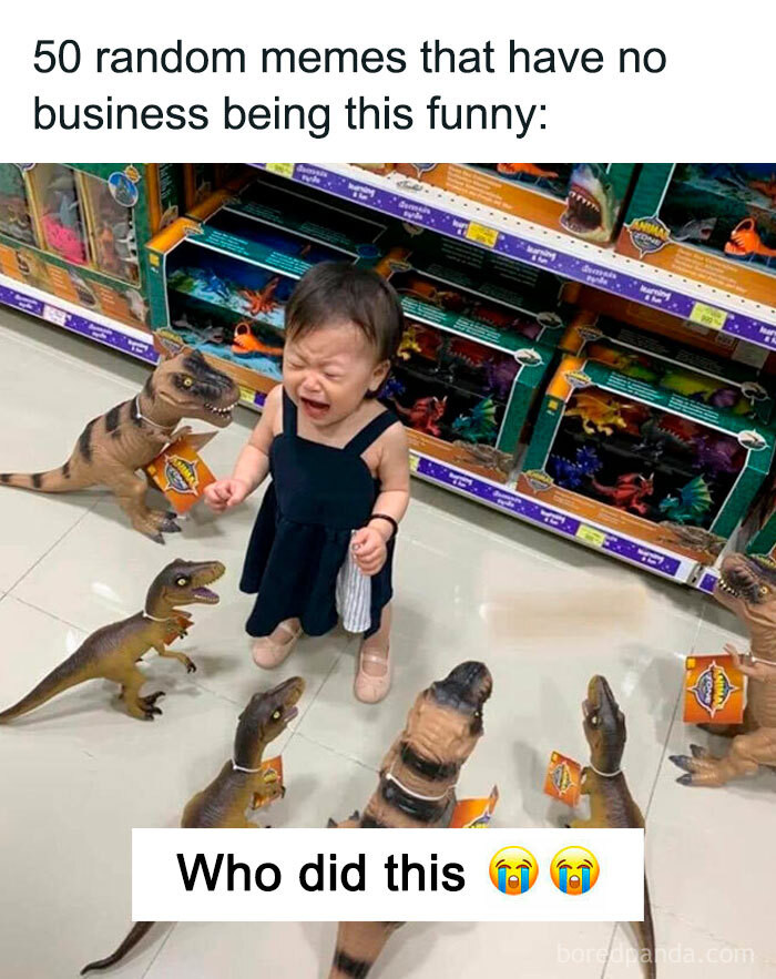 Bored Panda Art - 50 random memes that have no business being this ...