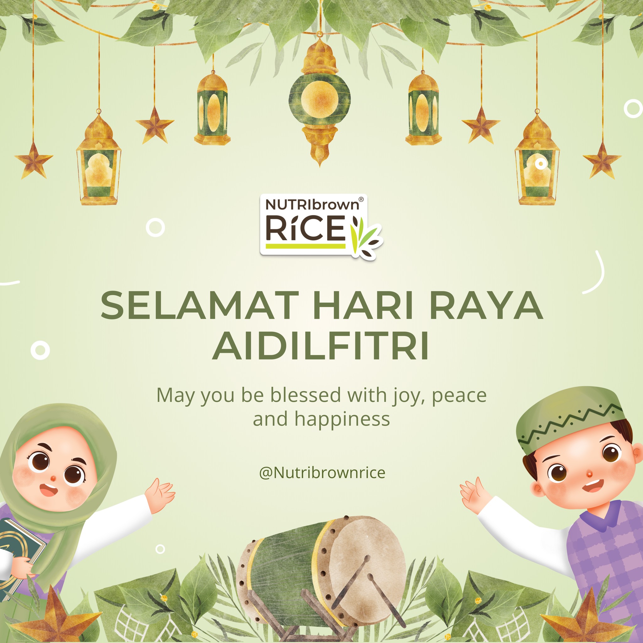 Nutri Brown Rice Malaysia | Malacca City