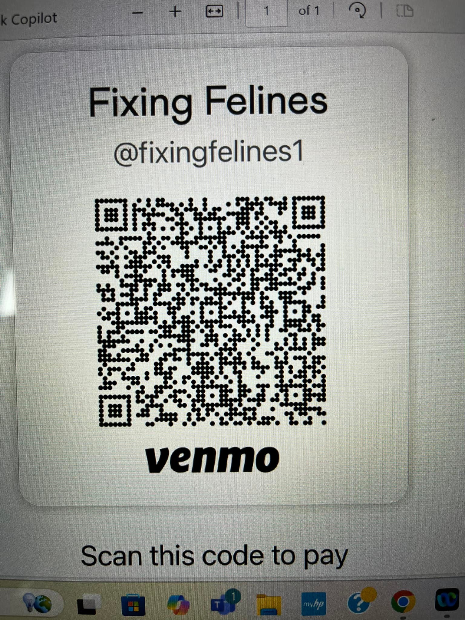 Fixing Felines