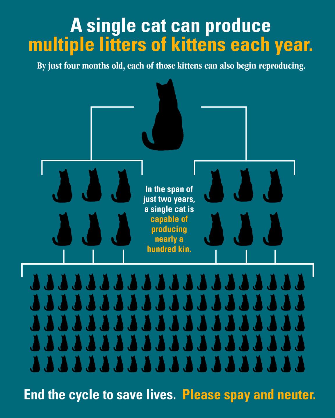 SNIP Spay & Neuter | Portage IN