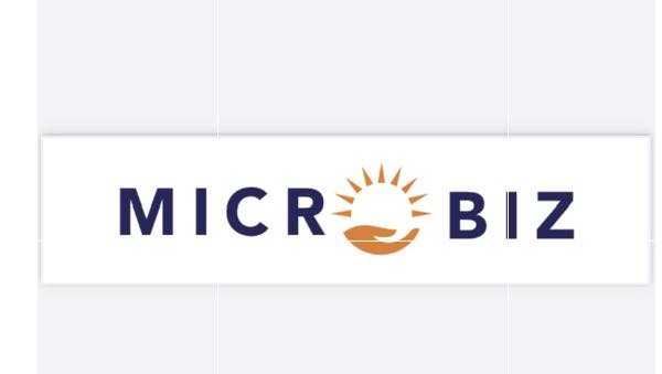 MicroBiz Zimbabwe | Harare
