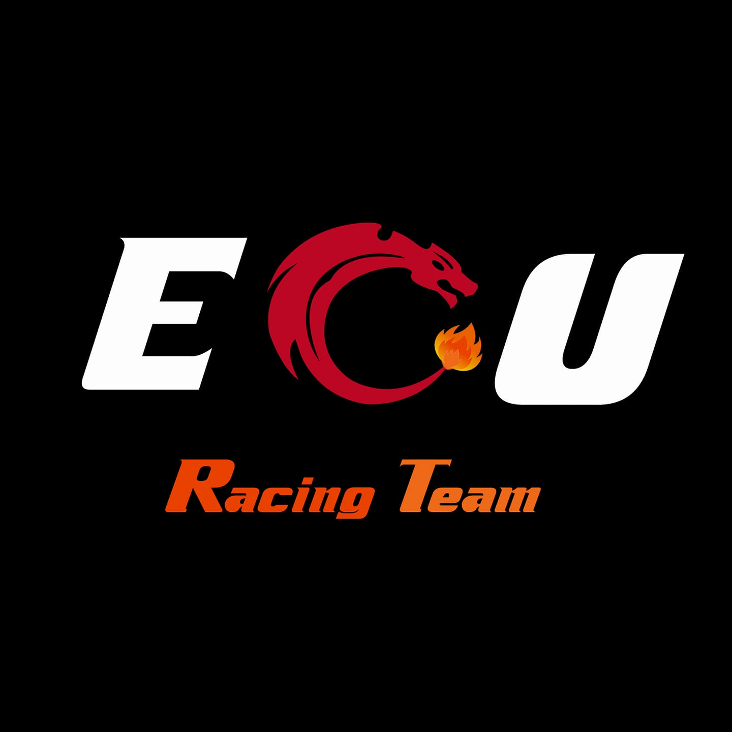 ECU Racing Team | Cairo
