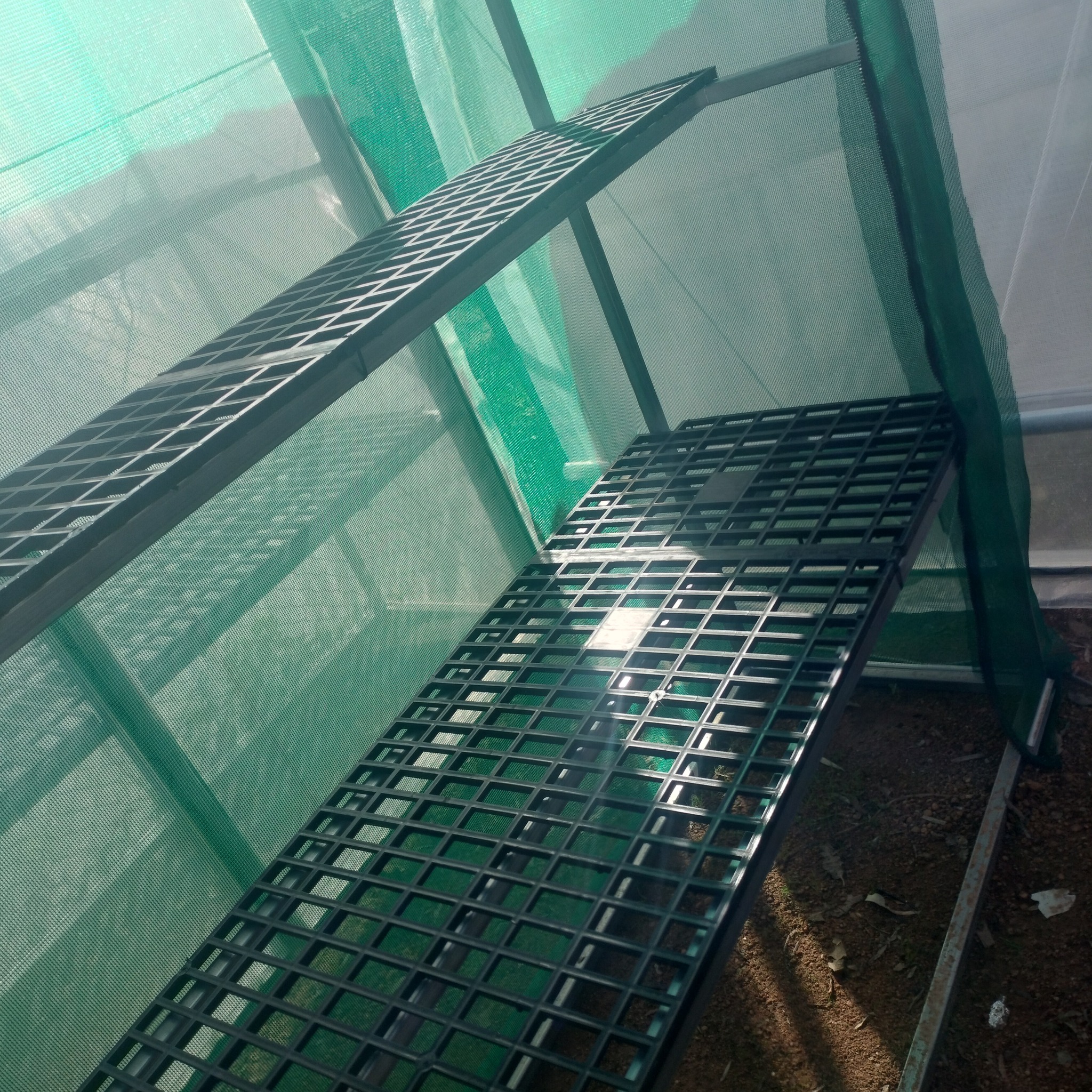 Argosee Greenhouse Technology | Walliston WA