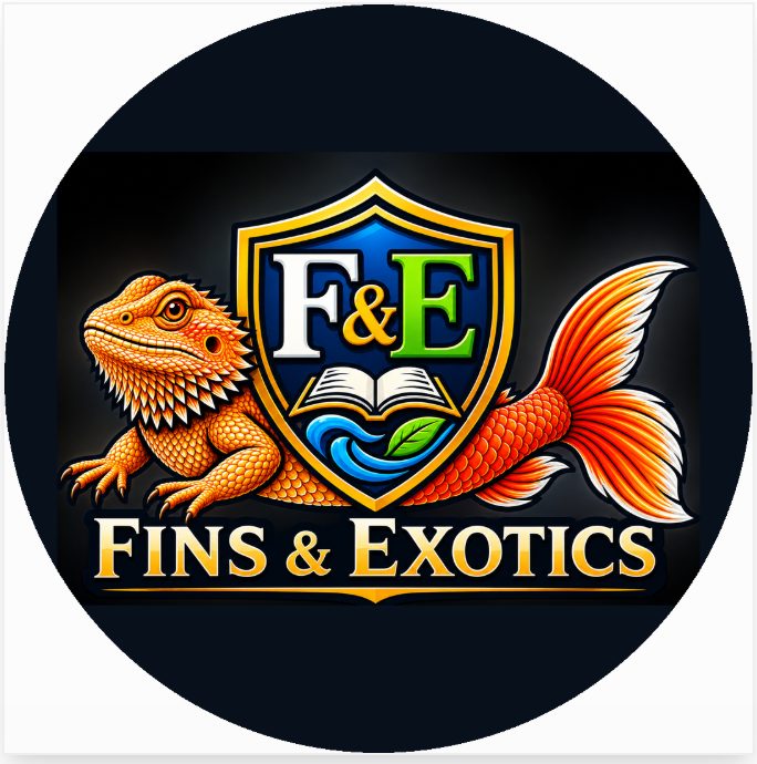 Hendersonville, NC | Axolotls, snakes, bearded dragons, chameleons ...