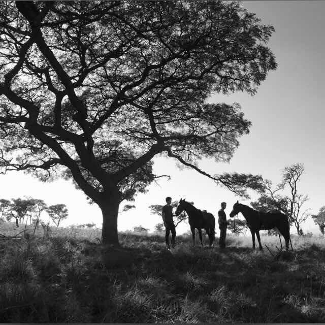 Cobus Roode