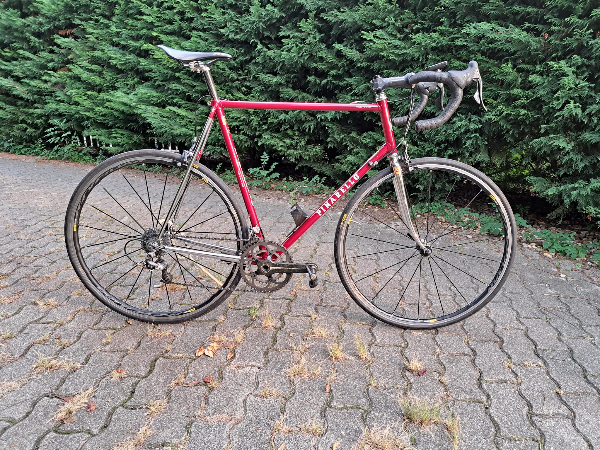 My Pinarello Montello built with Campagnolo Record 10 speed. Plan 