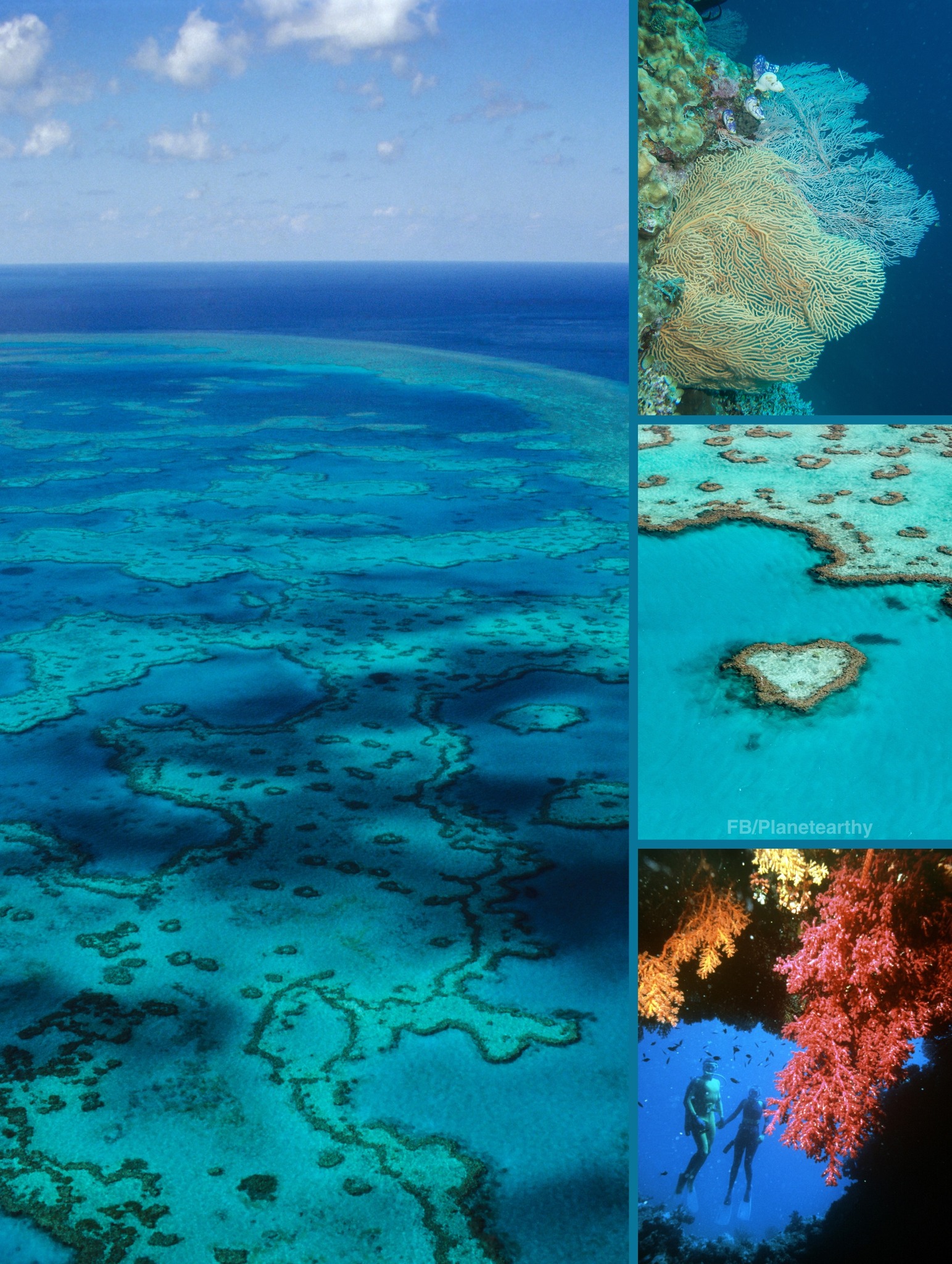 Backpackr - The Great Barrier Reef is the largest living structure on ...
