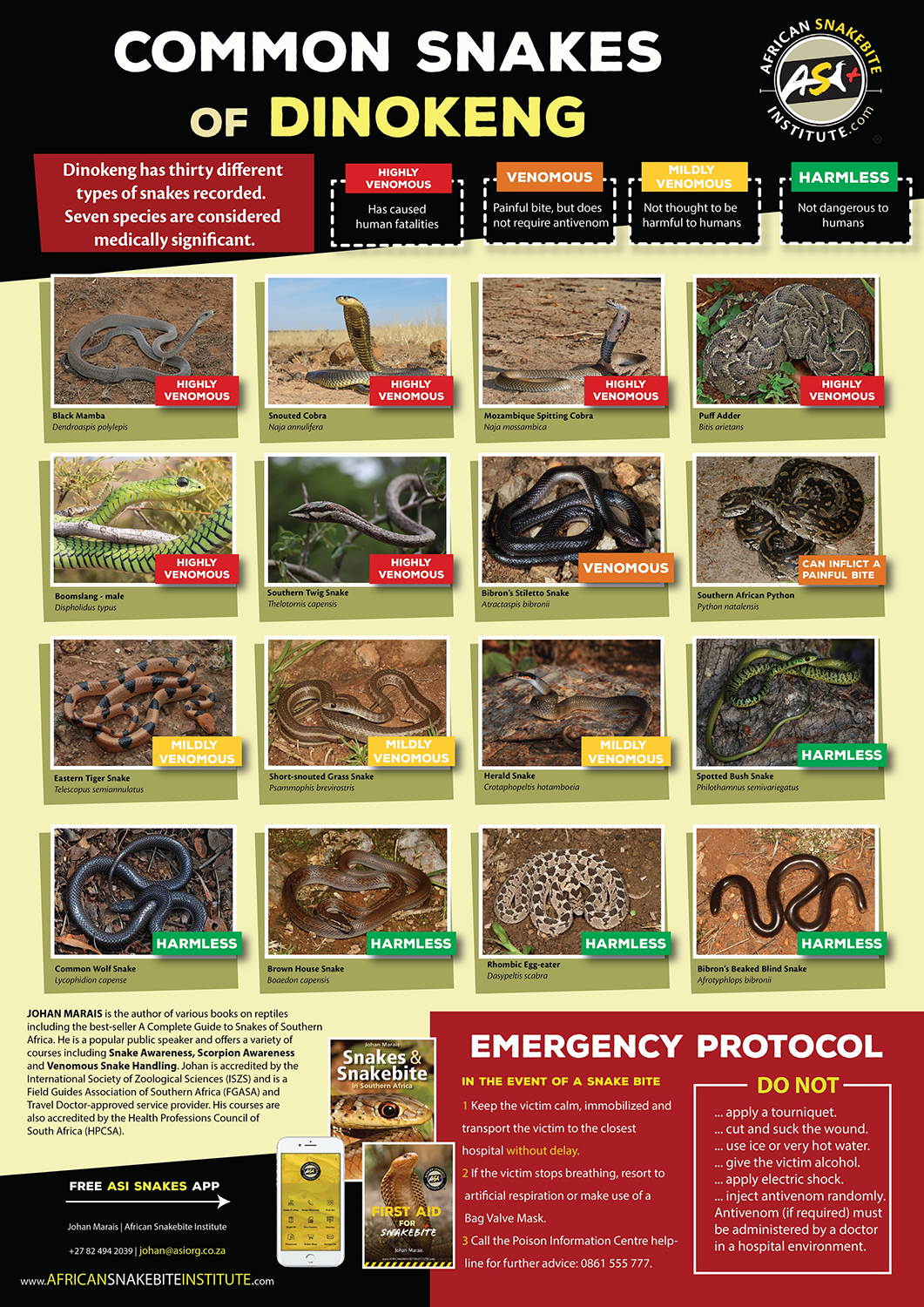 African Snakebite Institute - Common Snakes of Dinokeng Another one of ...
