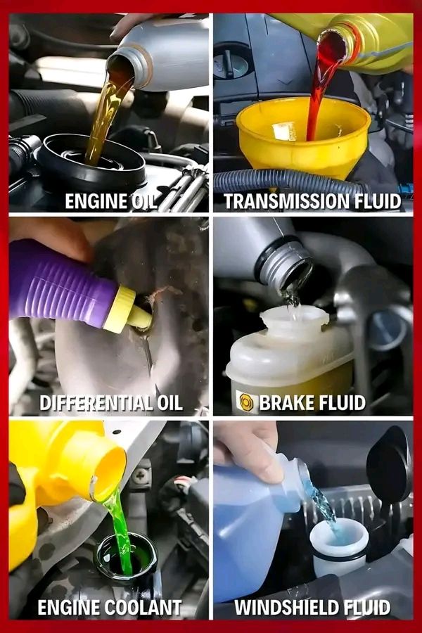 Mécanique Auto Facile - 🔴 Différents fluides dont votre voiture a ...
