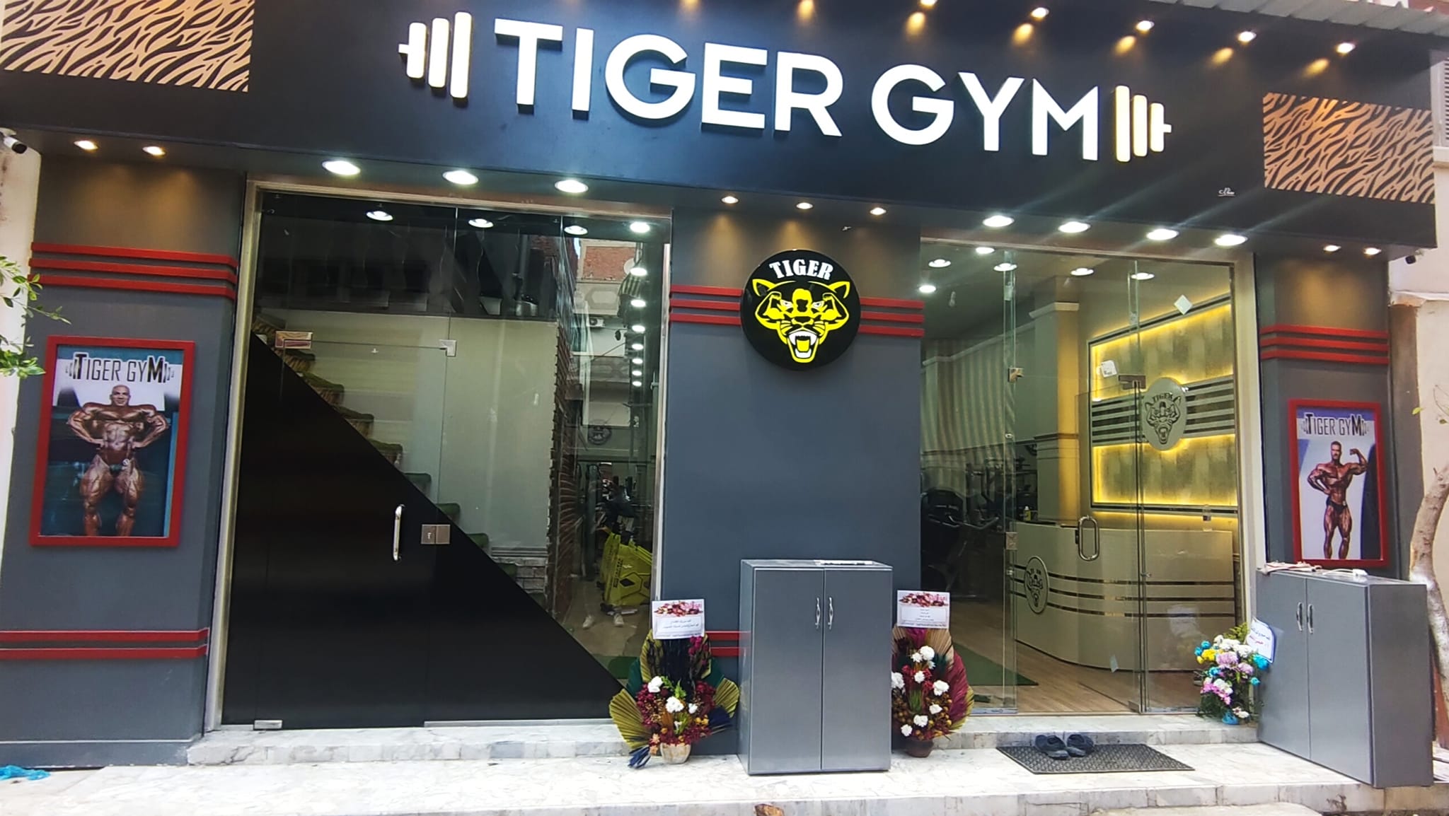 Tiger gym
