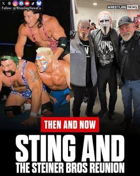 Sting with the Steiner brothers