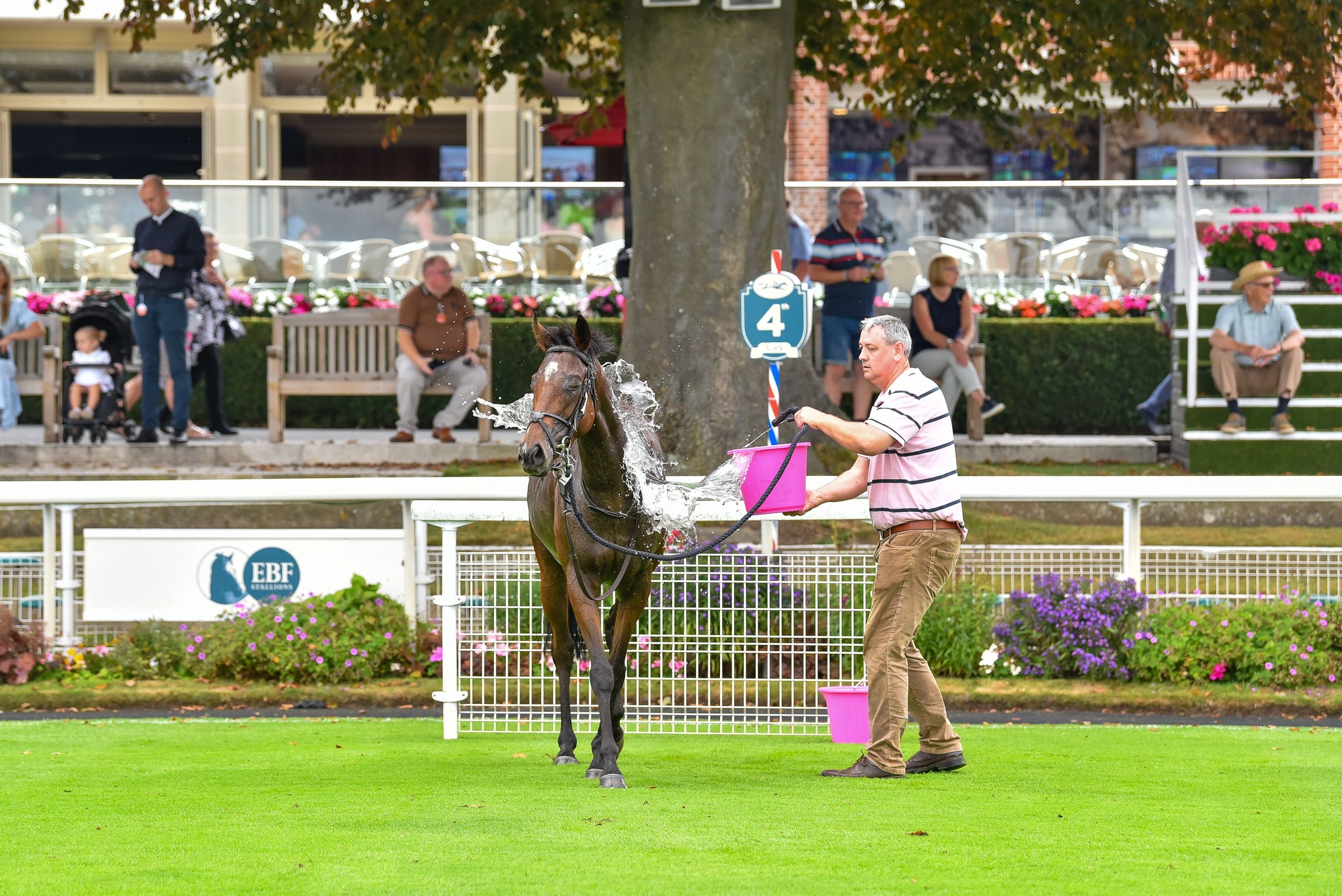 York Races | York