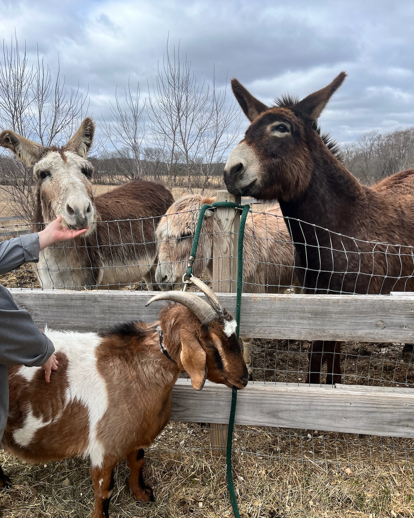 Another Chance Ranch | Neosho WI