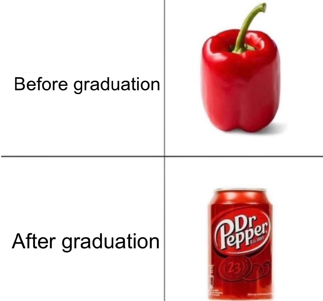 Know Your Meme - what an education | Facebook