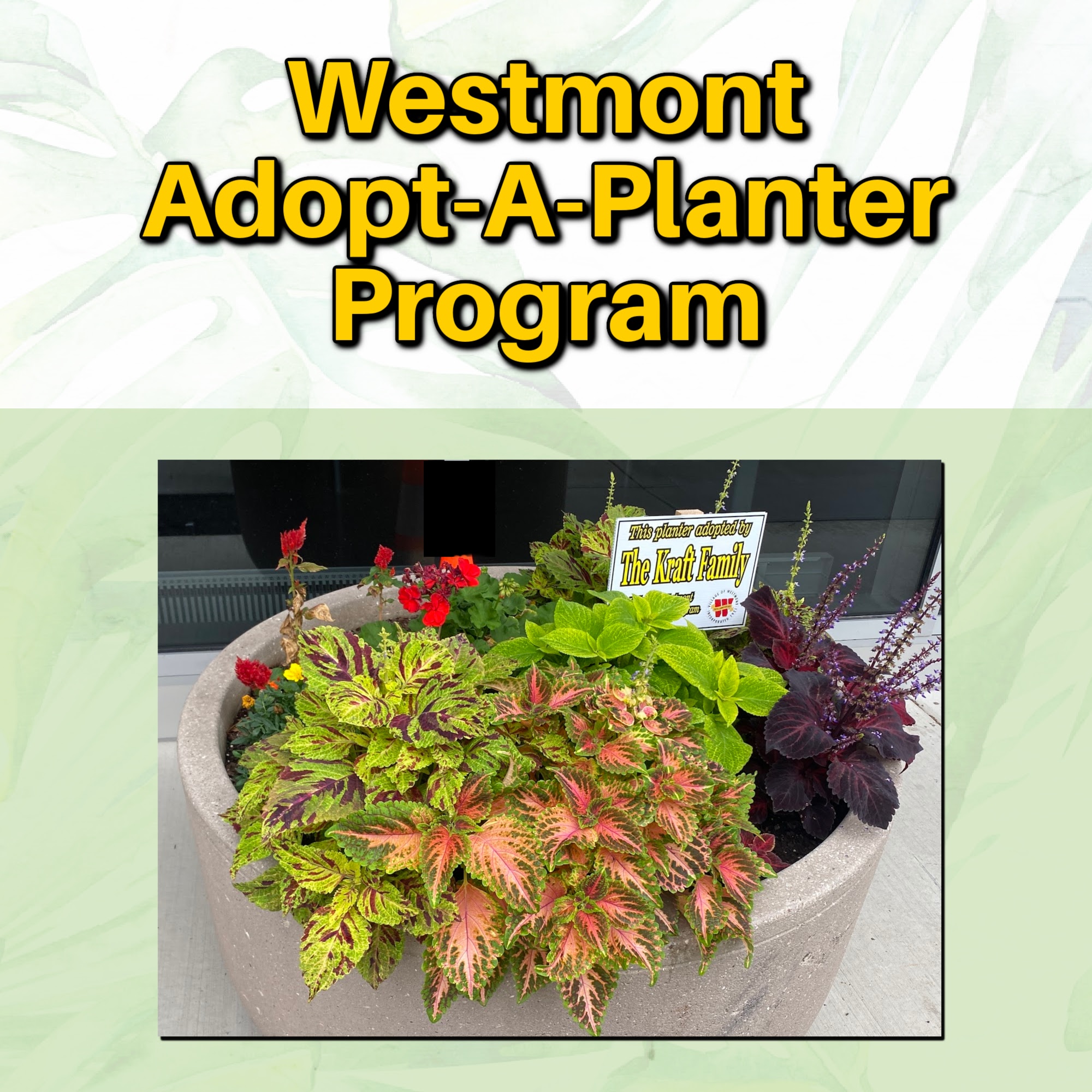 Village of Westmont, Government - Adopt-A-Planter Program - Sign up and ...