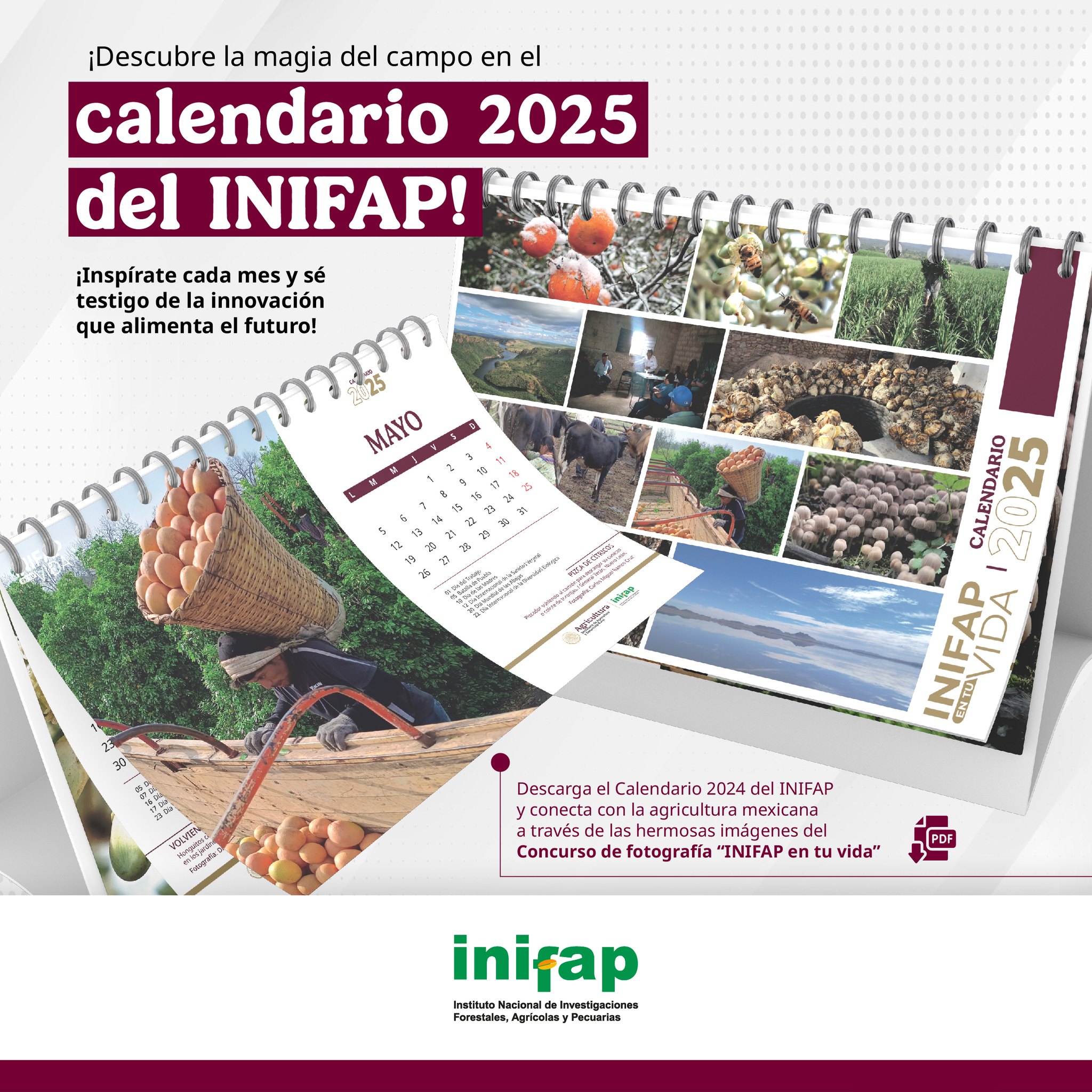INIFAP - 🌟 ¡Descarga el Calendario 2025 del INIFAP! 📅... | Facebook