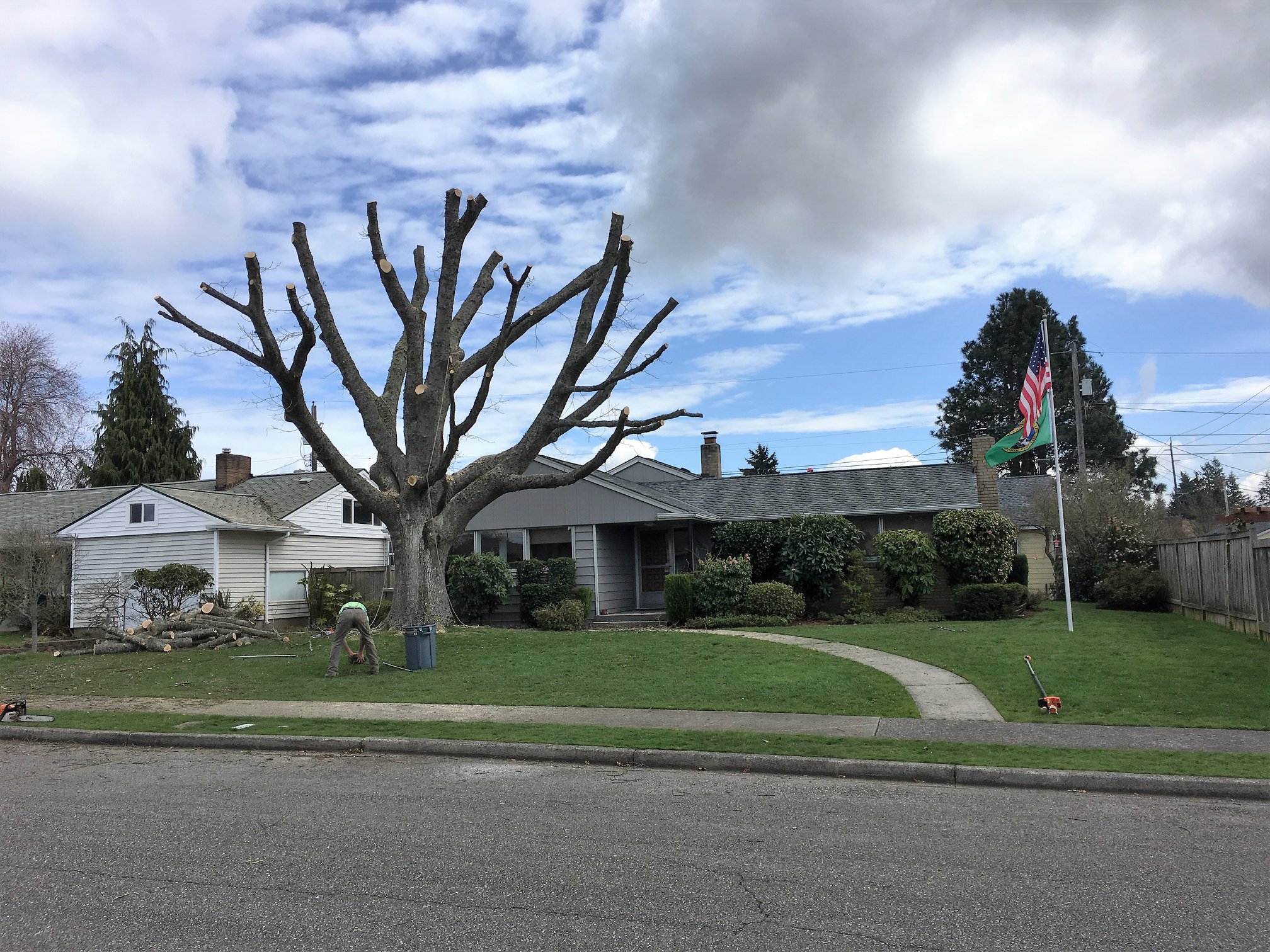 Monkey Tree Service llc