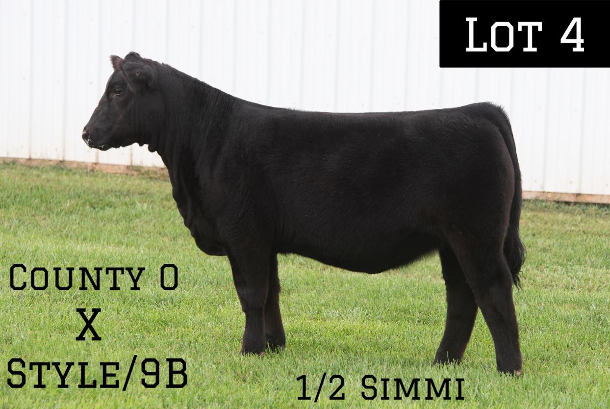 Butler Farms Show Cattle | Inwood WV
