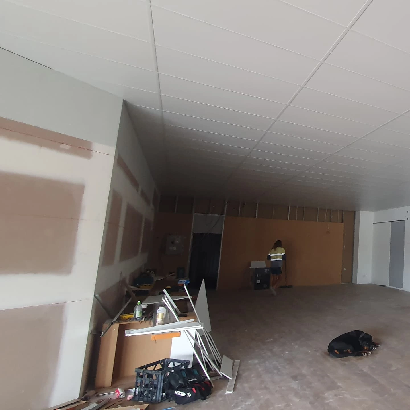 Proppa Plastered