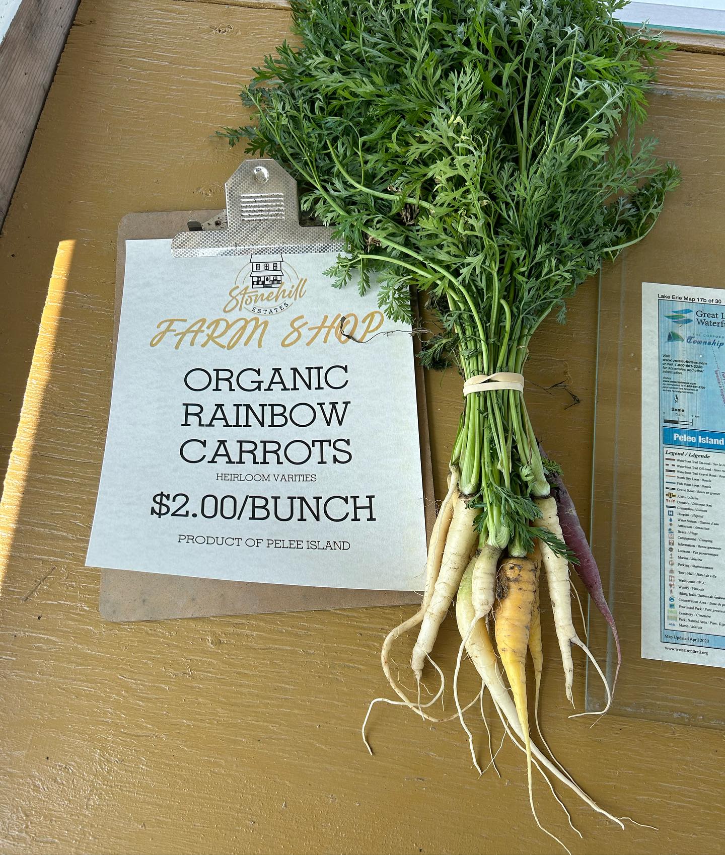 Gniff carrot 🥕 the glorious and flavorful heirloom from