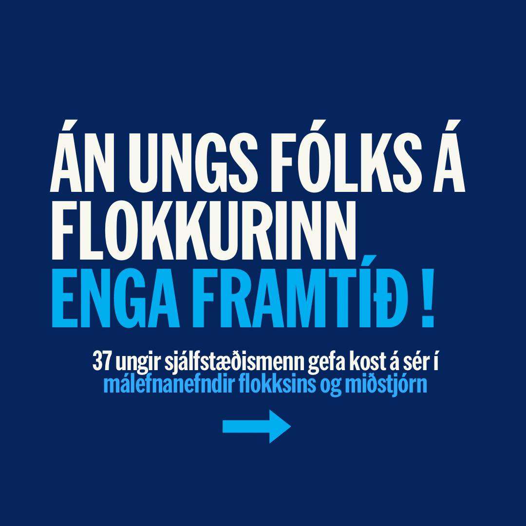 Ungir sjálfstæðismenn | Reykjavík