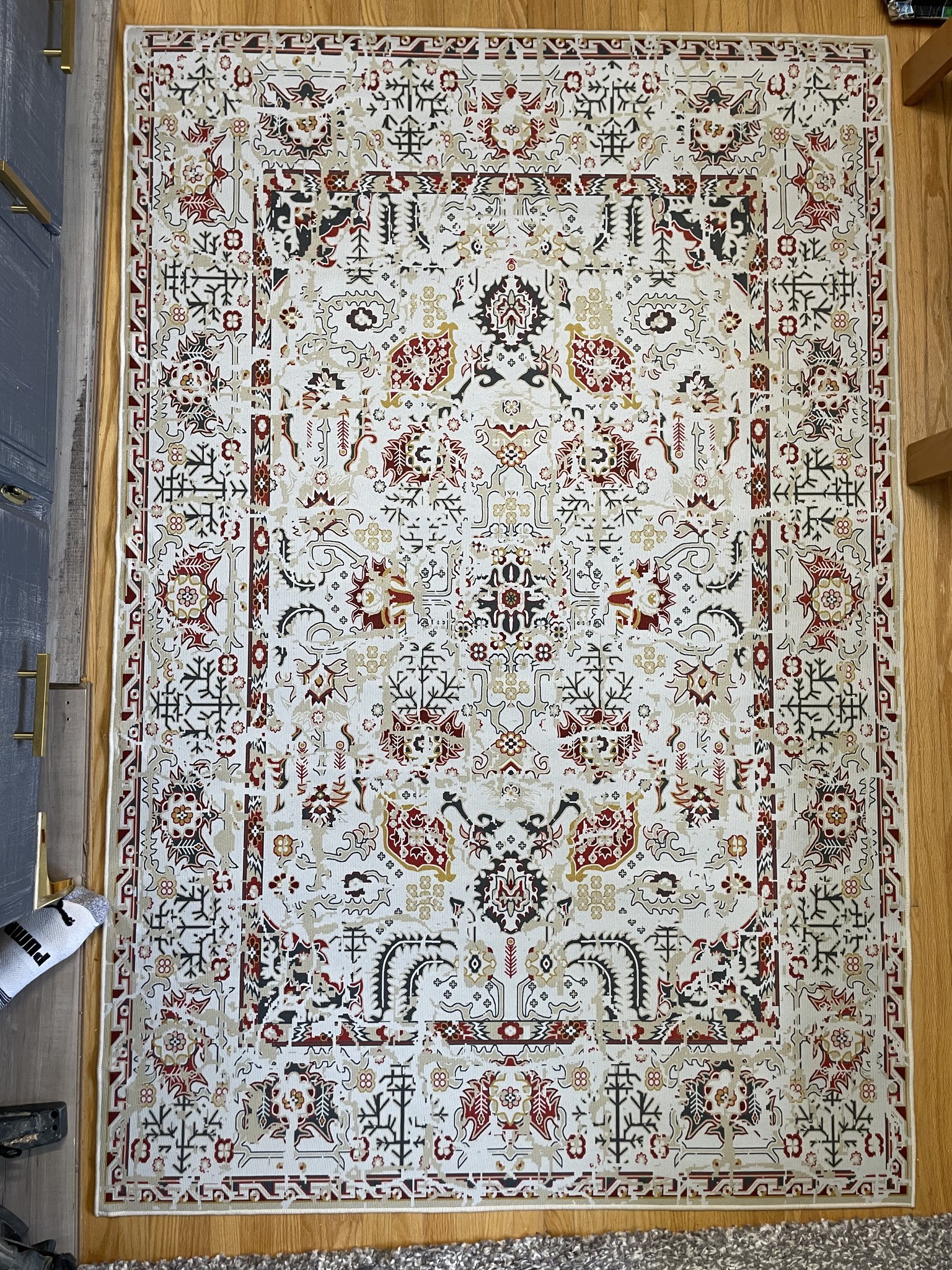 Divine Rugs | Guelph ON