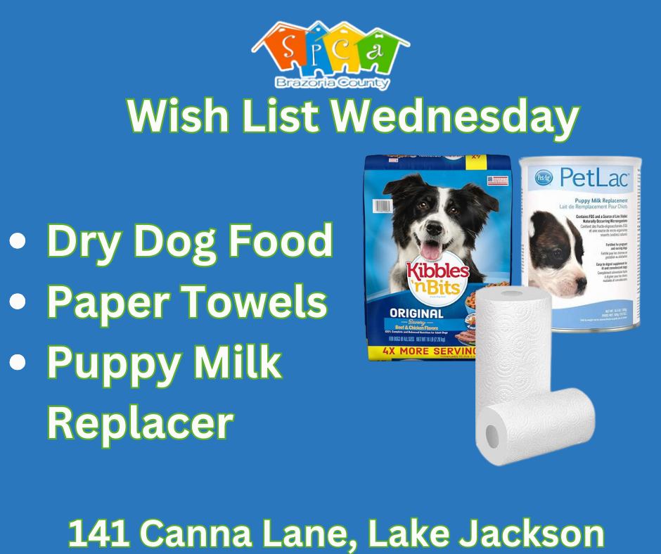 💗🐾 Wish List Wednesday – Valentine's Day Edition! 🐾💗 Love is