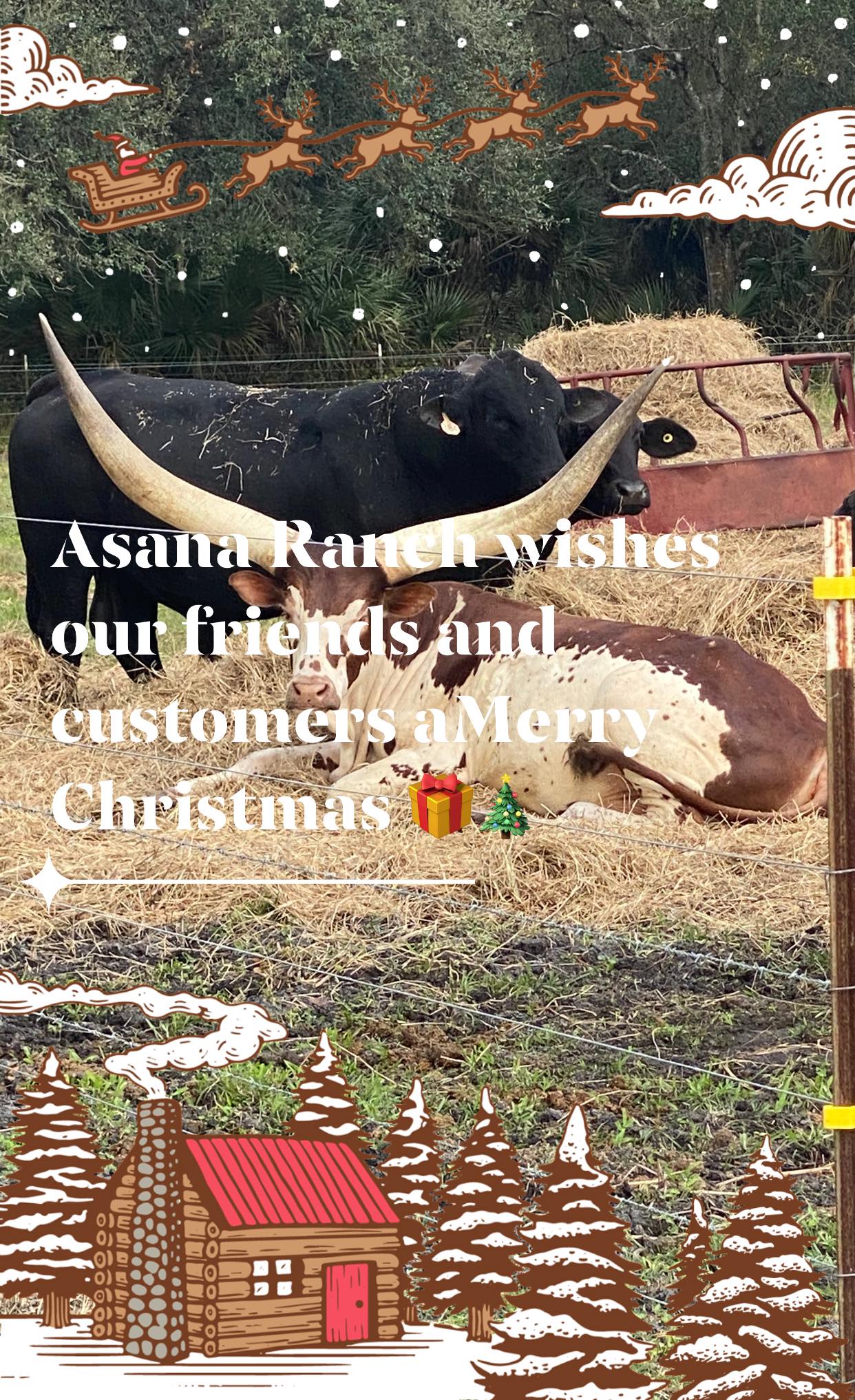 Asana Ranch | Haines City FL