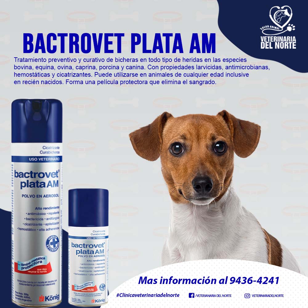 Veterinaria - 🐾🌿 ¡Protección completa para tus mascotas con Bactrovet ...