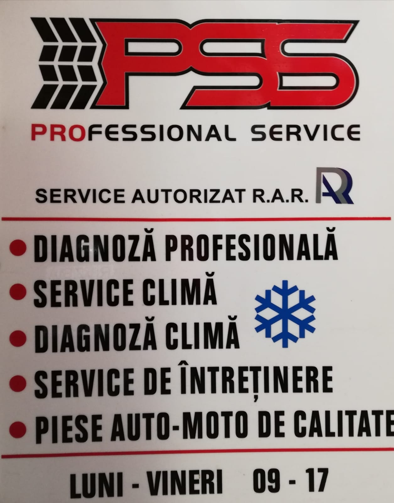 Professional Service SRL