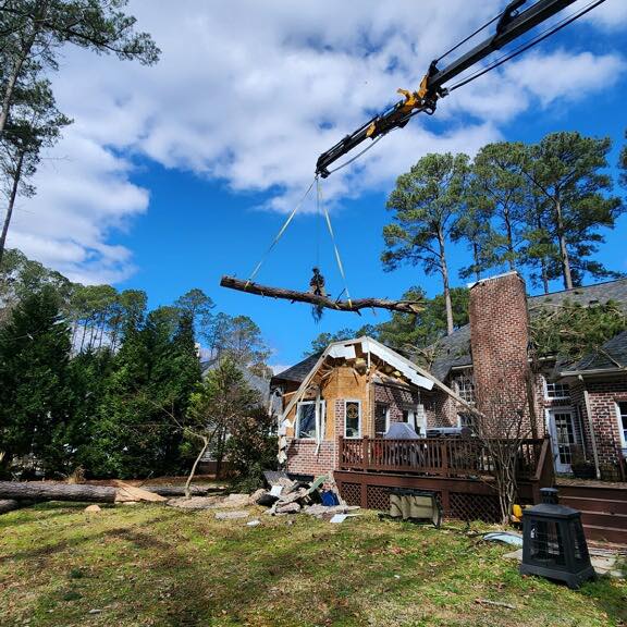 Ultimate Tree Service | Greenville NC
