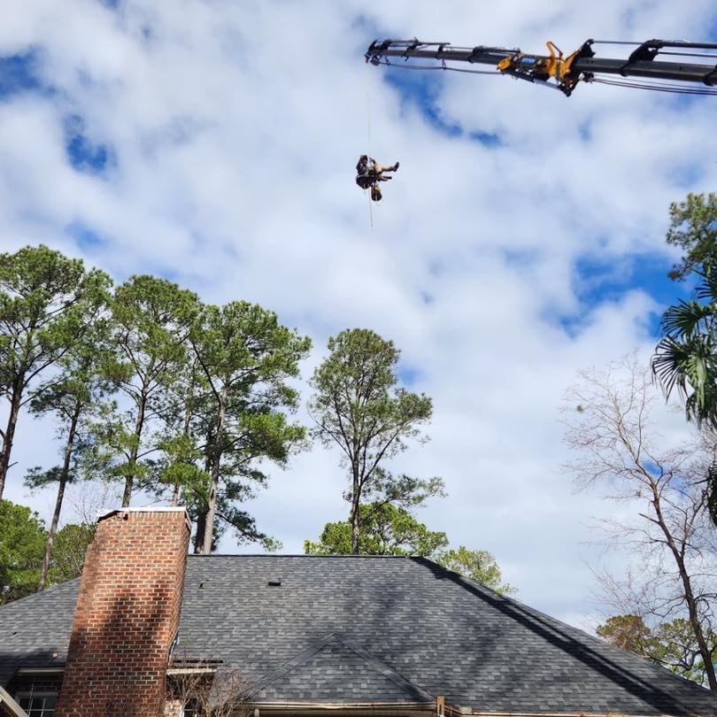 Ultimate Tree Service | Greenville NC