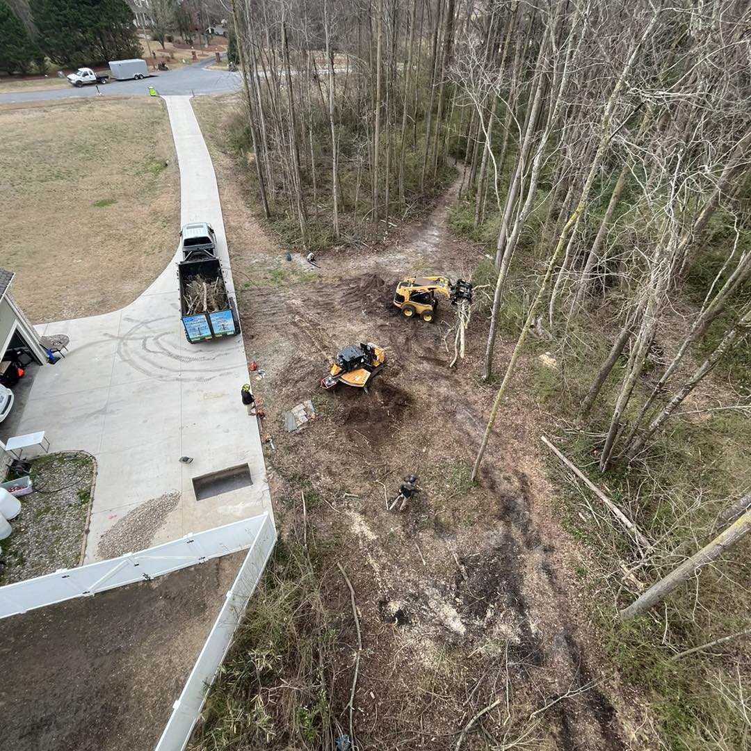 Ultimate Tree Service | Greenville NC
