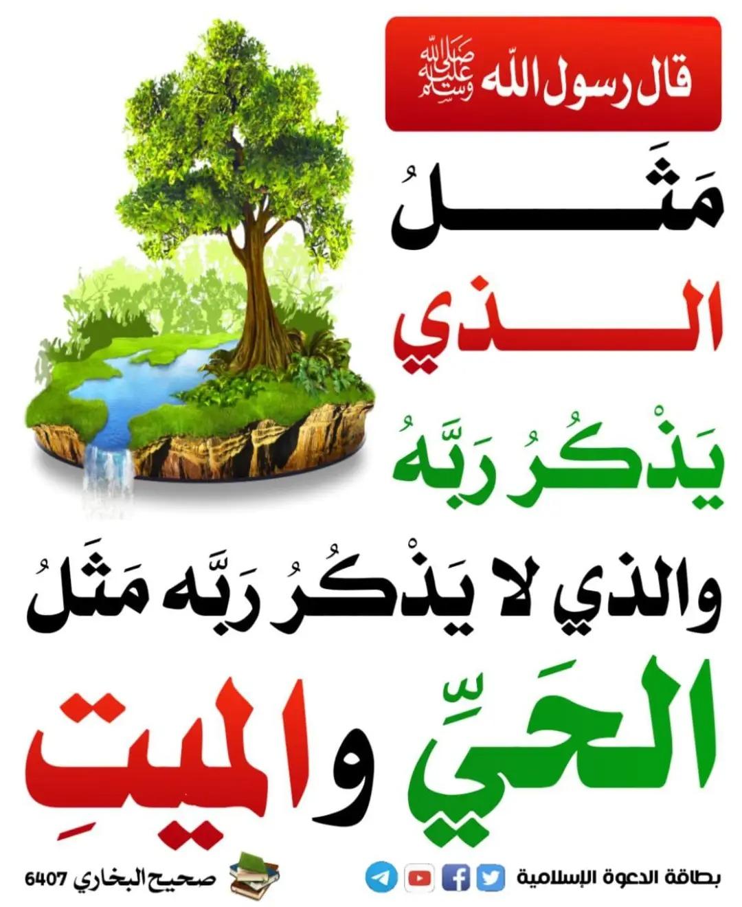 ‎الا بذكر الله تطمئن القلوب‎... - الا بذكر الله تطمئن القلوب