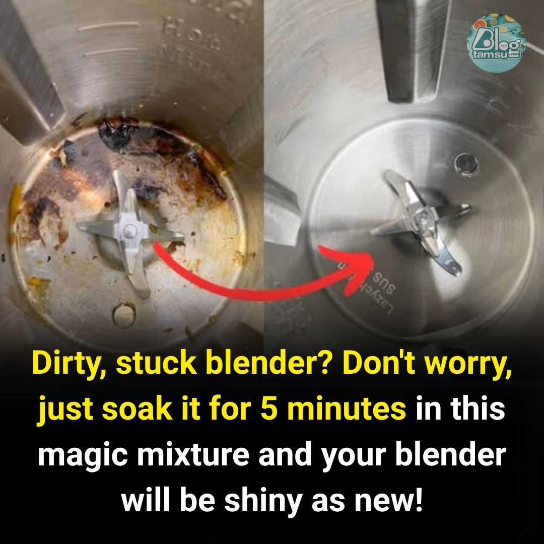 Blog - Don't let stains set, soak immediately to protect your blender 👇 ...