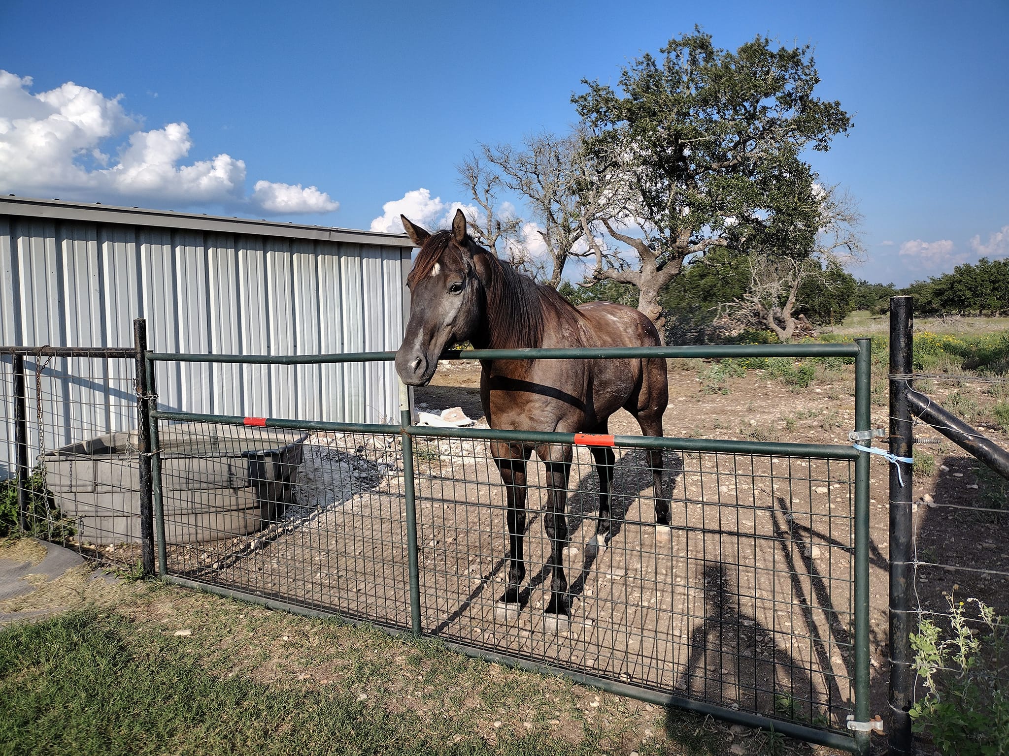 Bray Ranch | Harper TX