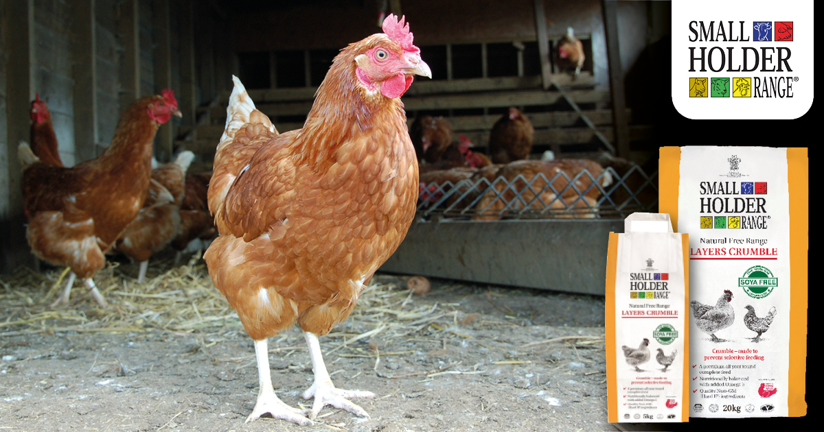 Are you considering rehoming... - Smallholder Range