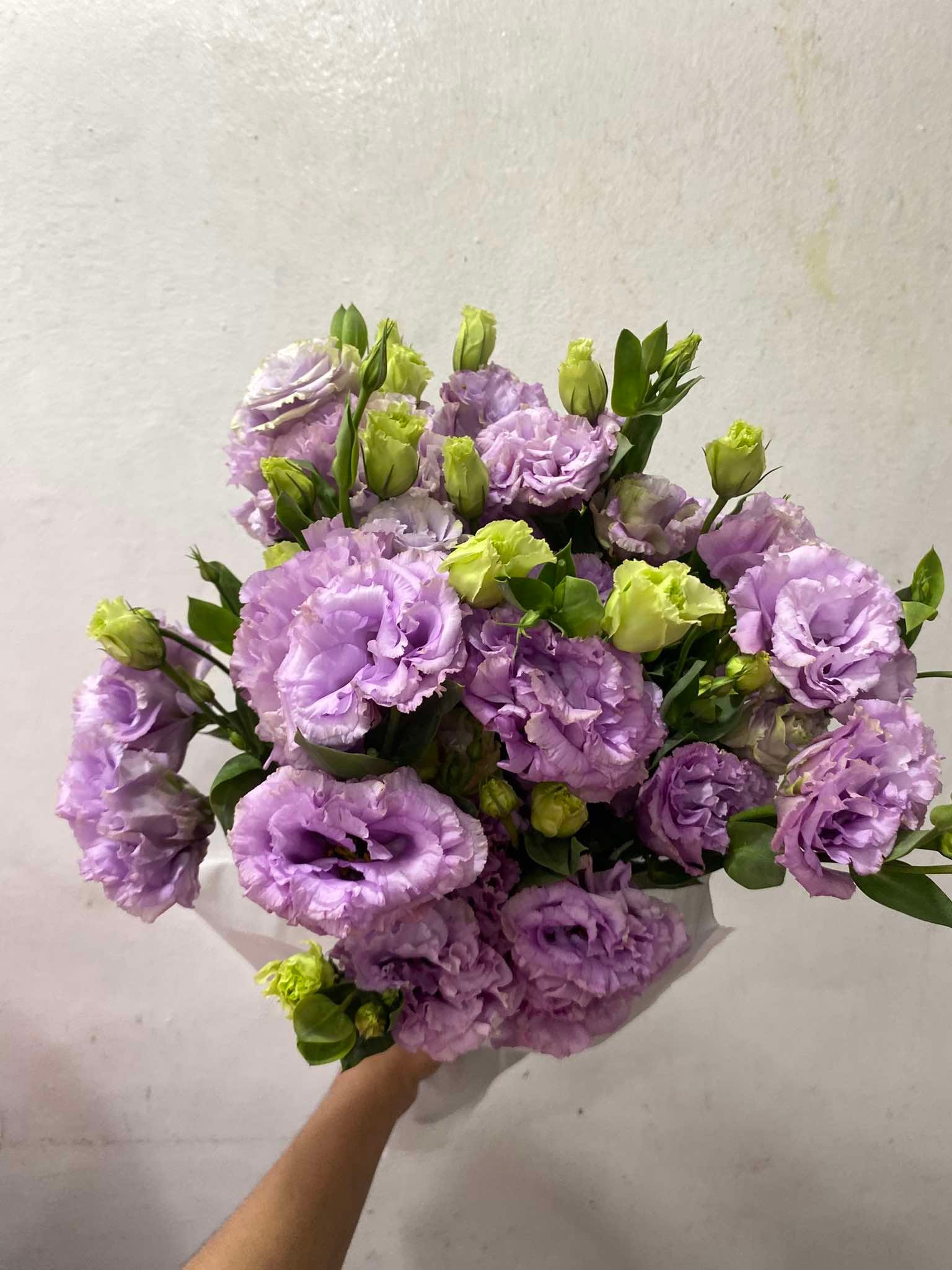 H&N House Of Flowers | Polangui