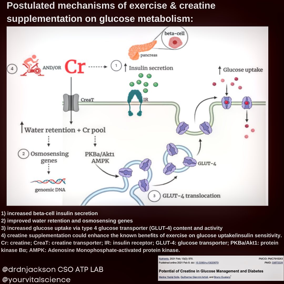 Can you take creatine and glp1? At the same time