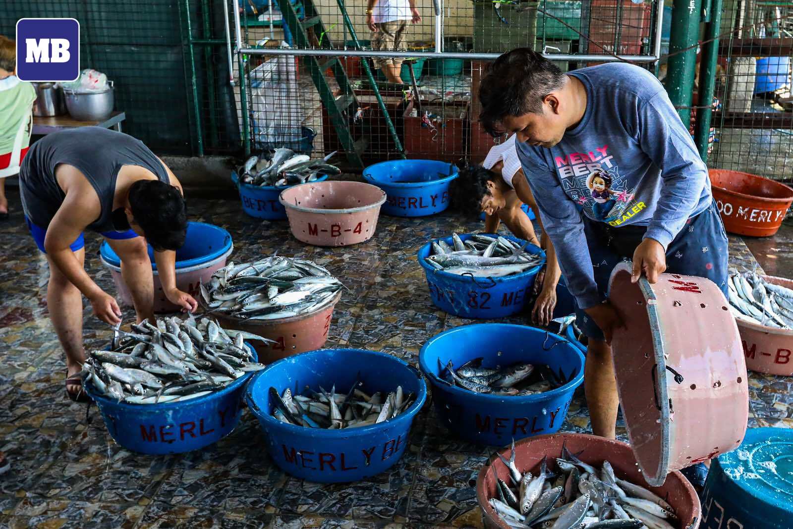 MANILA - LOOK: Workers are seen loading hundreds of kilos of fresh ...