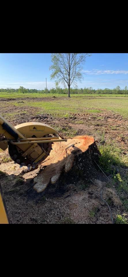 HM Stump Grinding | Butler AL