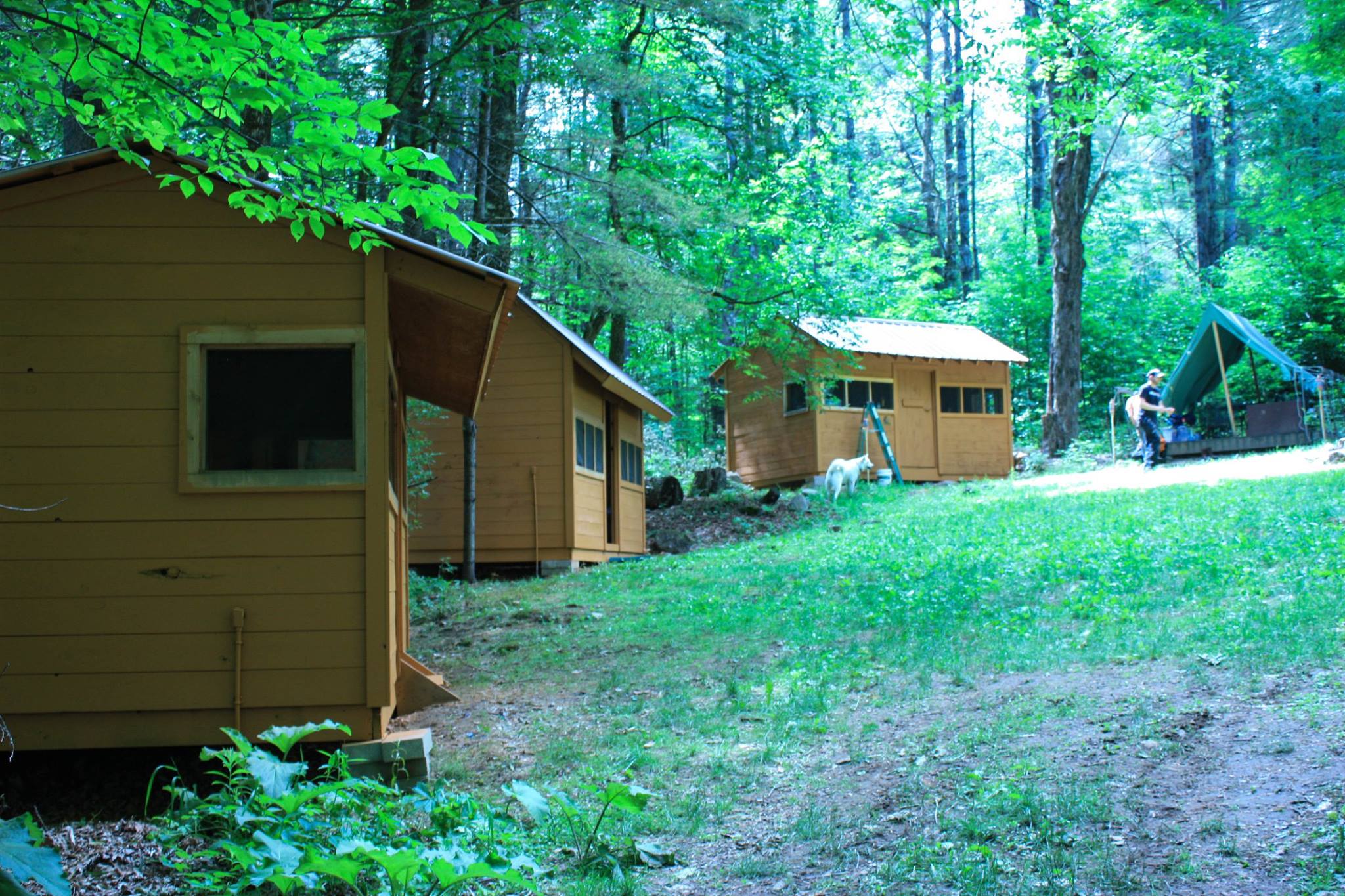 Curtis S. Read Scout Reservation | Brant Lake NY