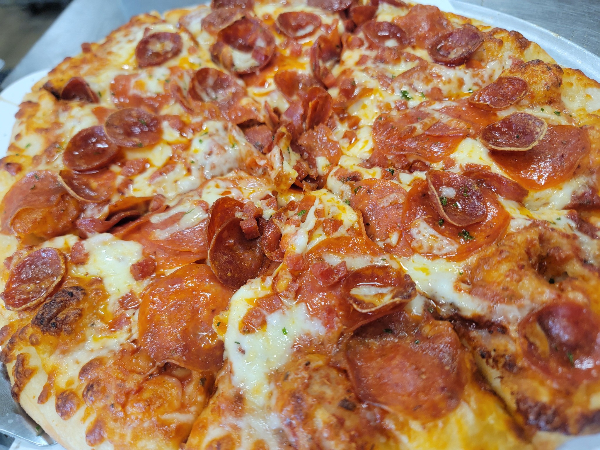 Wildman’s Pizza, Pasta & Pythons | Everglades City FL