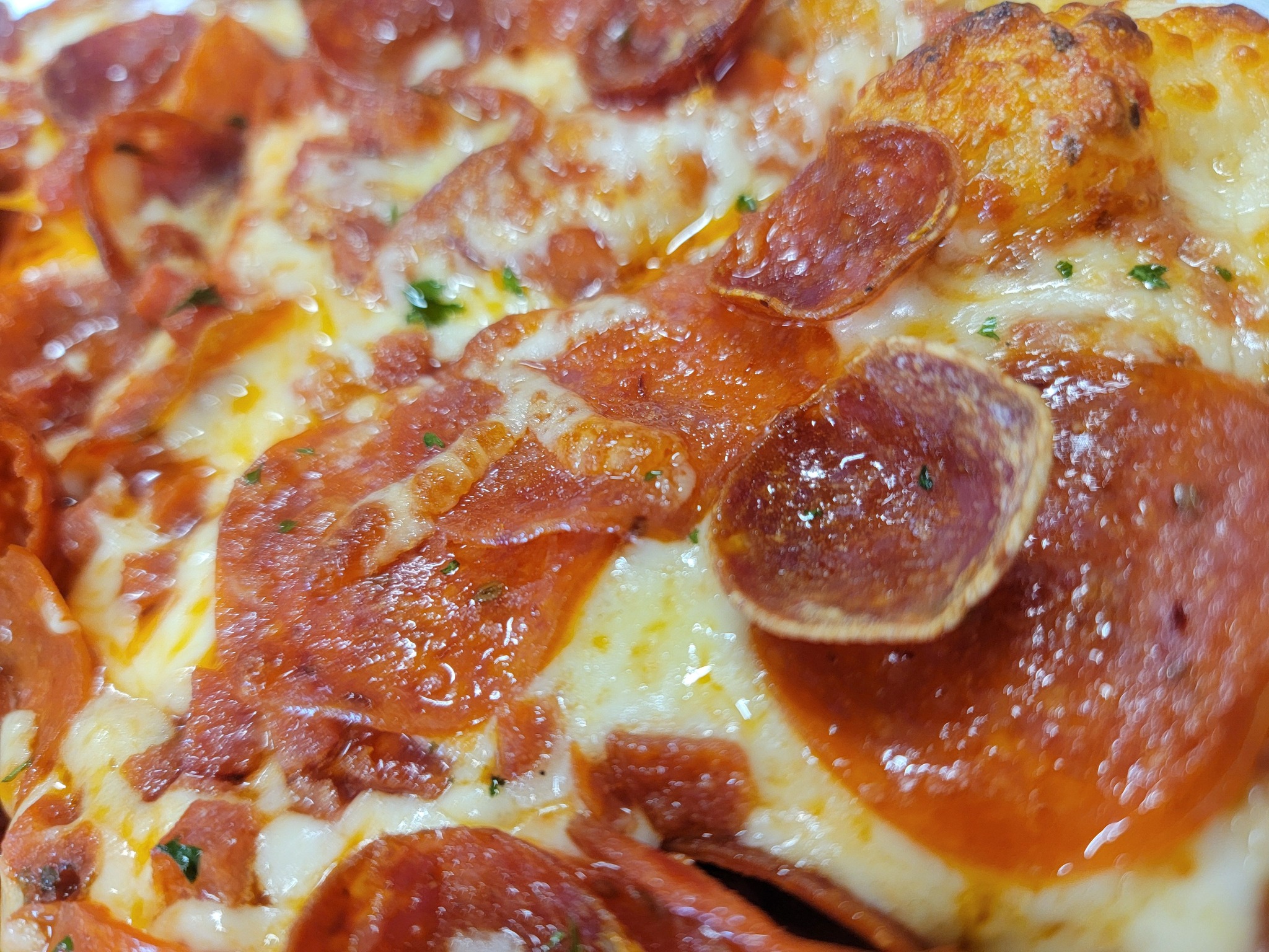 Wildman’s Pizza, Pasta & Pythons | Everglades City FL