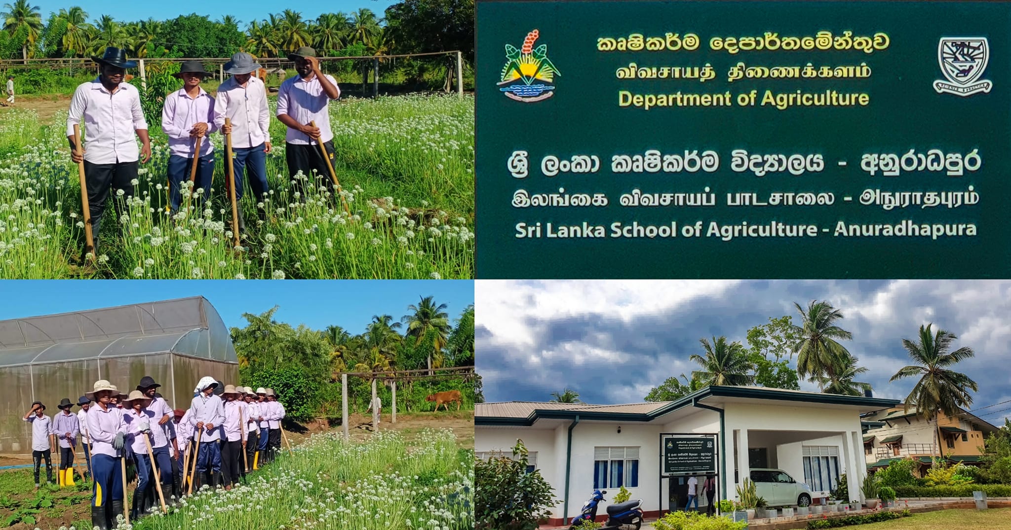 Sri Lanka... - Sri Lanka School of Agriculture - Labuduwa