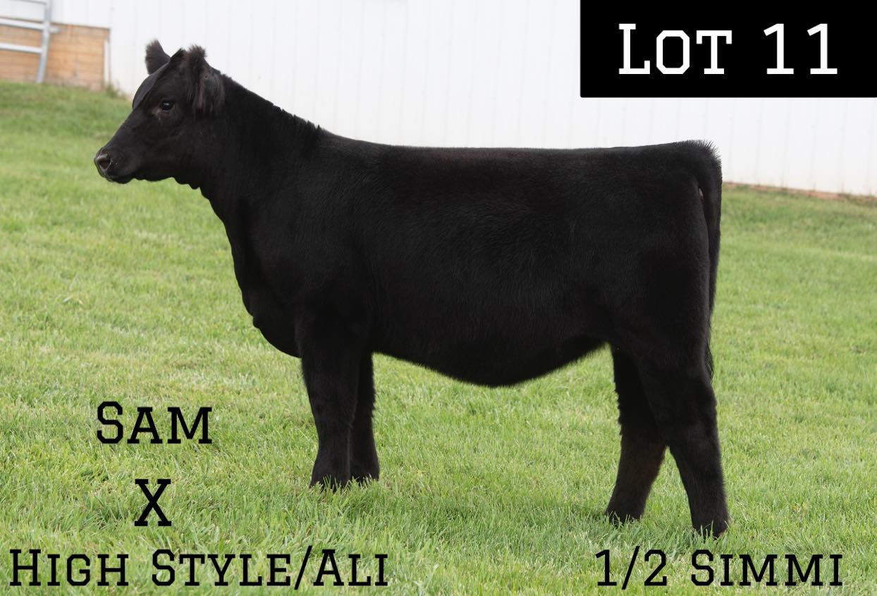 Butler Farms Show Cattle | Inwood WV